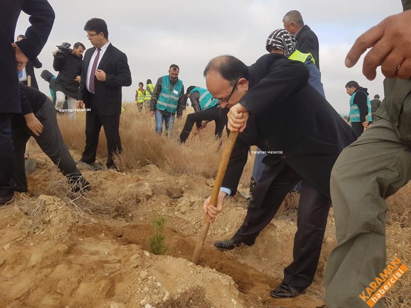 Karaman'da Hükümlüler Fidan Dikti 16