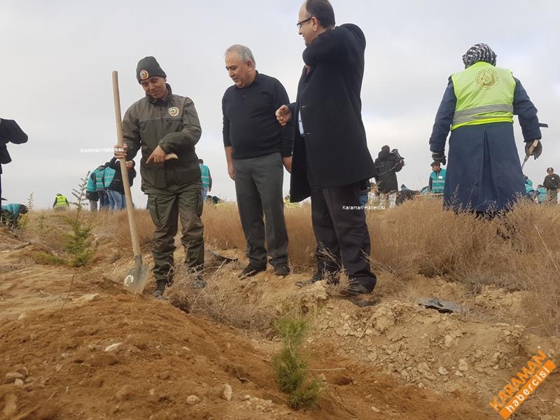 Karaman'da Hükümlüler Fidan Dikti 17