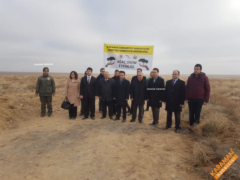 Karaman'da Hükümlüler Fidan Dikti 2
