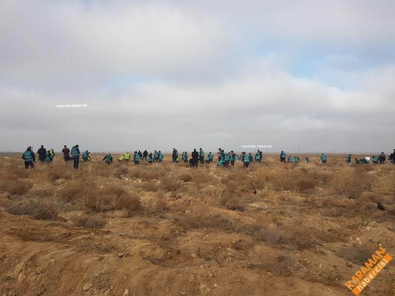 Karaman'da Hükümlüler Fidan Dikti 7