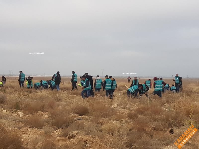 Karaman'da Hükümlüler Fidan Dikti 8