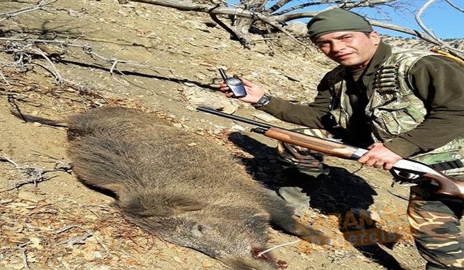 Karaman’da Sürek Avı Yapıldı 11