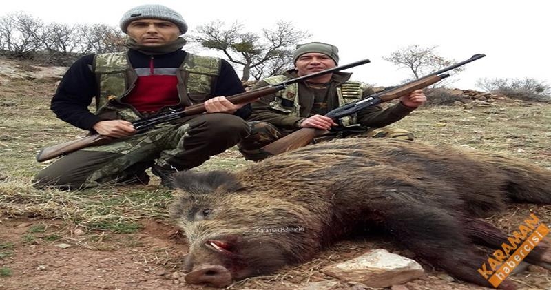 Yaban Domuzu Sürek Avı Düzenlendi 5