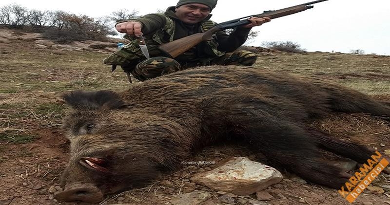 Yaban Domuzu Sürek Avı Düzenlendi 7
