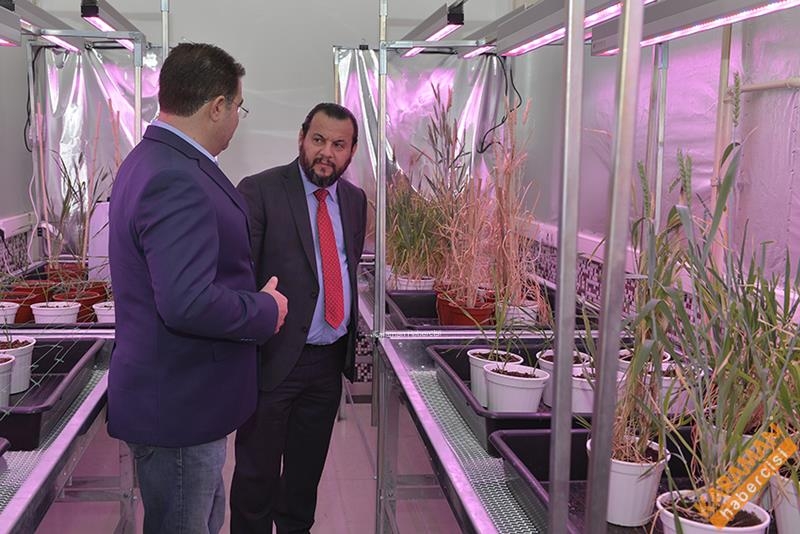 Ülkamizde İlk Hızlı Bitki Islahı KMÜ'de 3