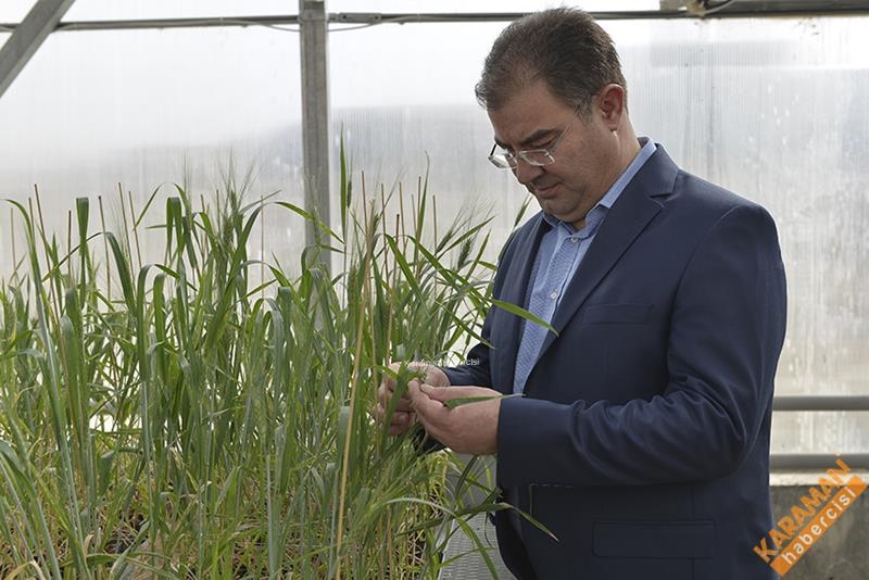 Ülkamizde İlk Hızlı Bitki Islahı KMÜ'de 6