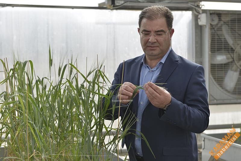 Ülkamizde İlk Hızlı Bitki Islahı KMÜ'de 7