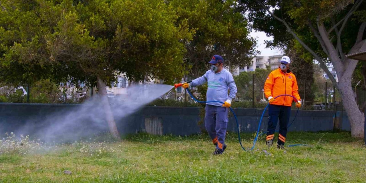 Büyükşehir Belediyesi, Zararlı Böceklere Karşı Mücadele Başlattı