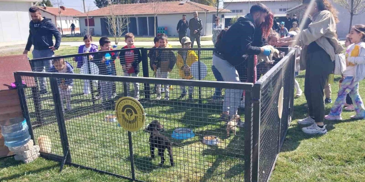 Miniklerden Sahipsiz Sokak Hayvanları Bakım Ve Rehabilitasyon Merkezi’ne Ziyaret