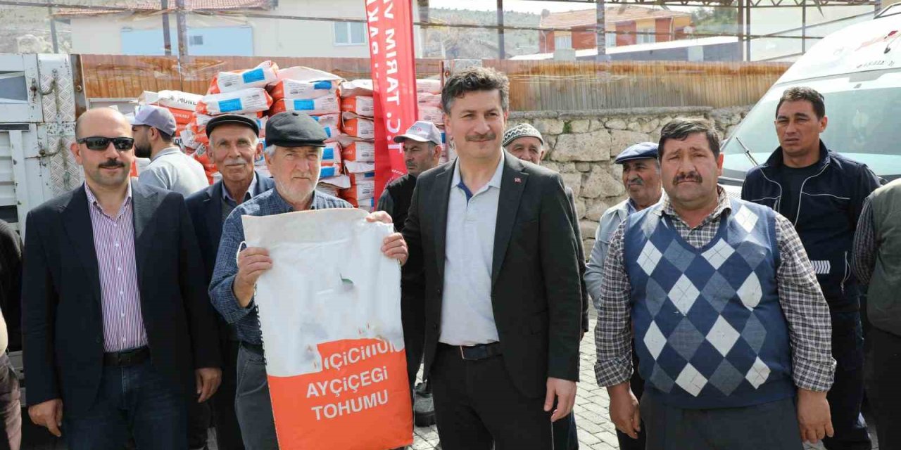 Seyitgazi’de Ayçiçeği Üretimi Artıyor