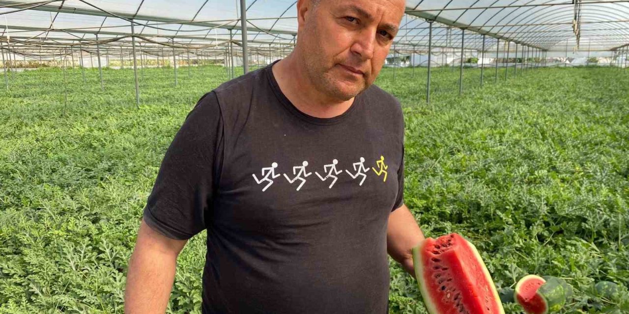 Antalya’daki Sıcak Havalar Karpuz Hasadını Öne Çekti