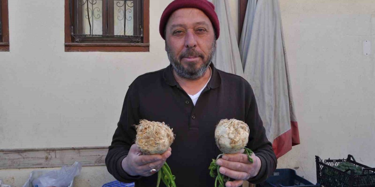 Faydaları Saymakla Bitmeyen Kerevize Pazarda İlgi Yoğun