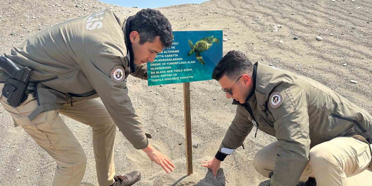 Mersin Polisi Caretta Carettaların Üreme Alanlarına Uyarı Levhaları Astı