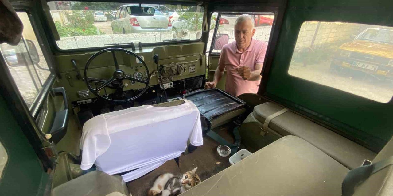 Özel Yapım Aracını Anne Kedi Ve Yavrularına Tahsis Etti