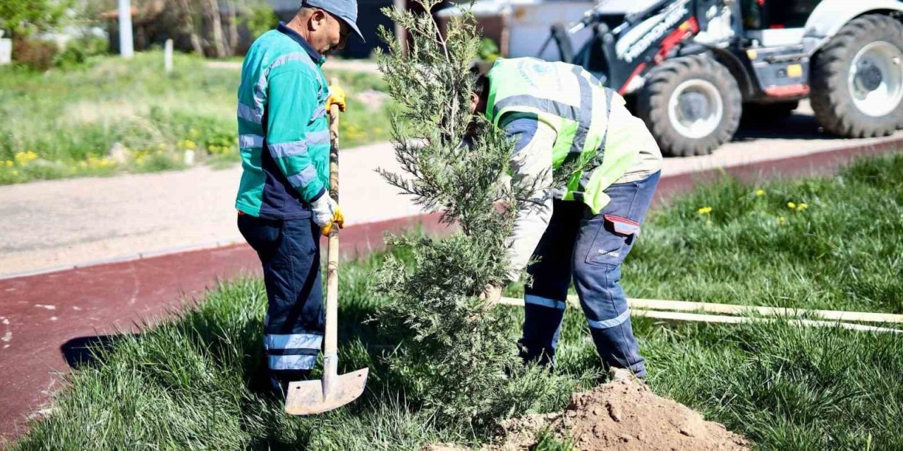 Aksaray’da Ağaç Dikme Seferberliği Başlatıldı