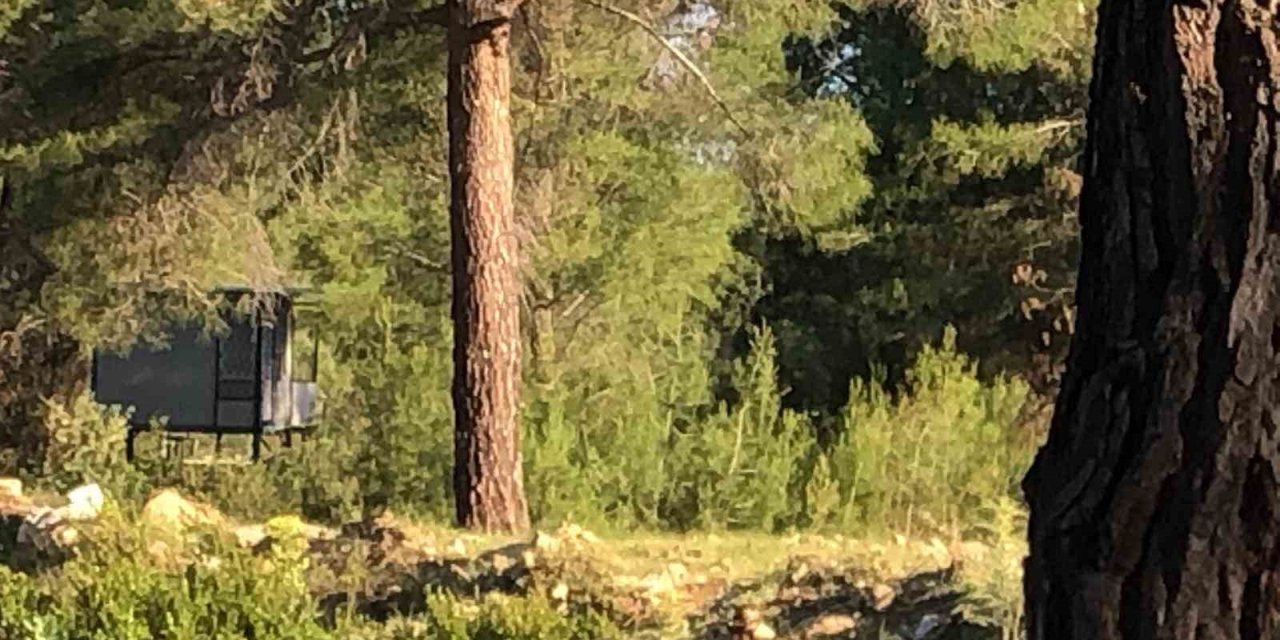 Bağ Evinde Korkunç Ölüm: Boşanma Aşamasındaki Çift İntihar Etti