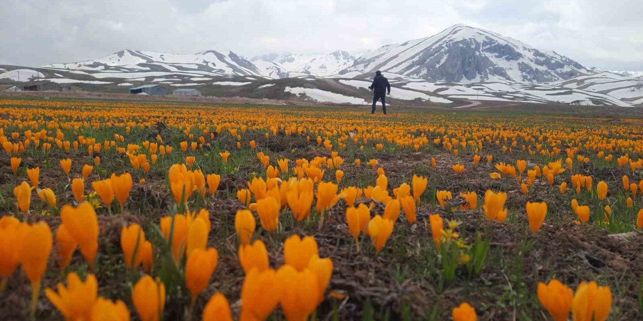 Eğrigöl Tabii Güzellikleriyle Hayran Bırakıyor