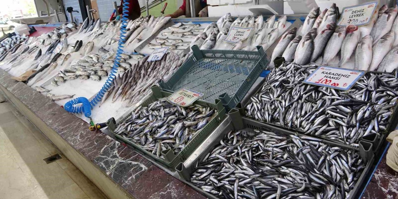 Balıkçılar Geride Kalan Av Sezonundan Memnun