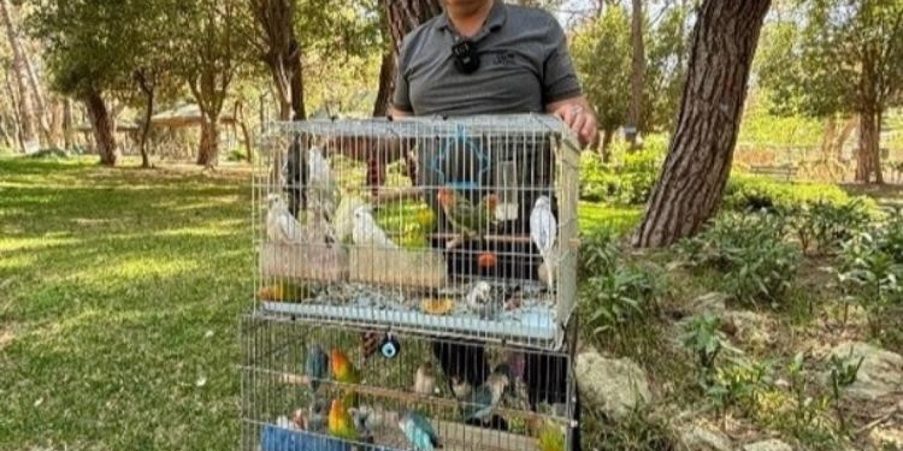 Antalya’da Papağan Operasyonu: 41 Papağan Ele Geçirildi