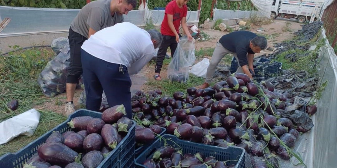 İsraf Olacak Ürünleri Bağışladılar