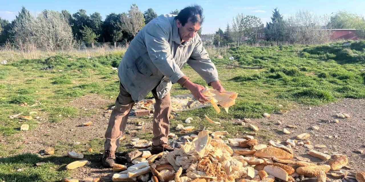 Hayvanlar İçin 30 Yıllık Mücadelesine Motosikletinin Çalınması Bile Engel Olmadı