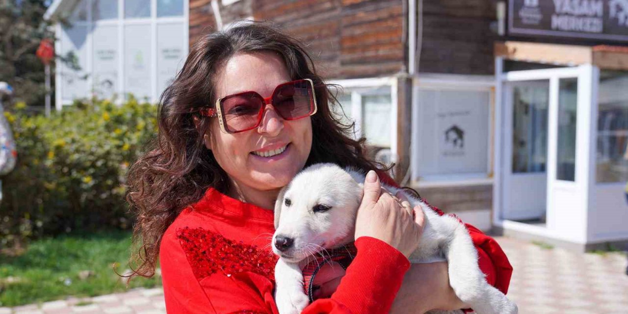 Dört ’can’ Daha Sıcak Yuvasına Kavuştu