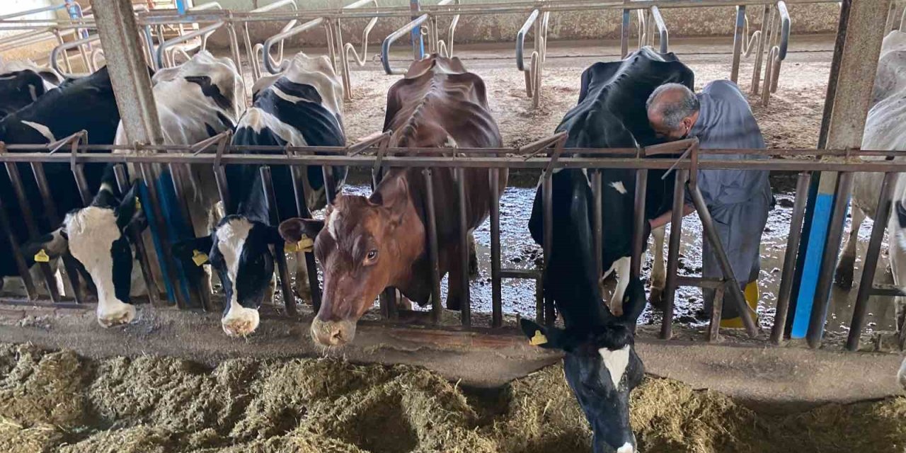 Akdeniz Üniversitesi, Antalyalıların Gıda İhtiyaçlarını Karşılayacak