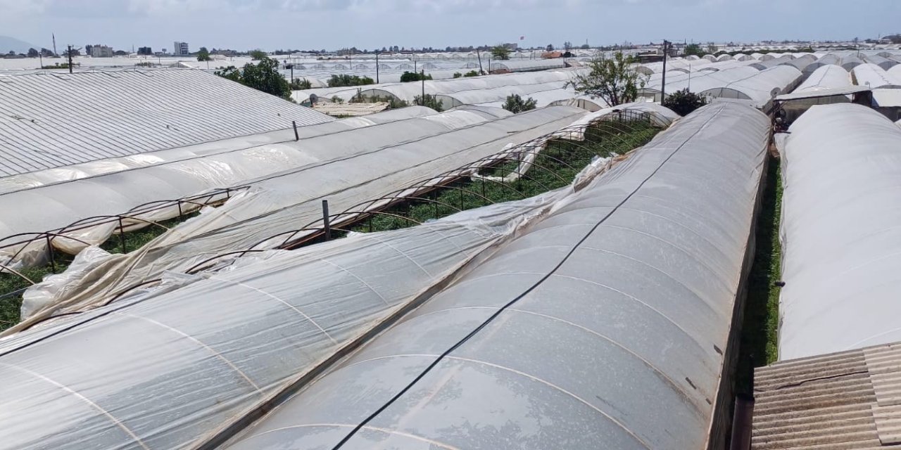 Şiddetli Rüzgar Seralara Zarar Verdi