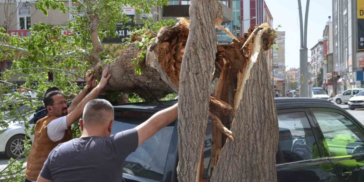 Fırtınada Ağaç Cipin Üzerine Devrildi, Çatılar Uçtu