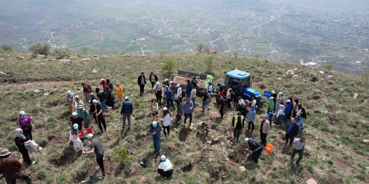 Başkan Yalçın: "bu Ağaçlar Hepimizin Sadakası"