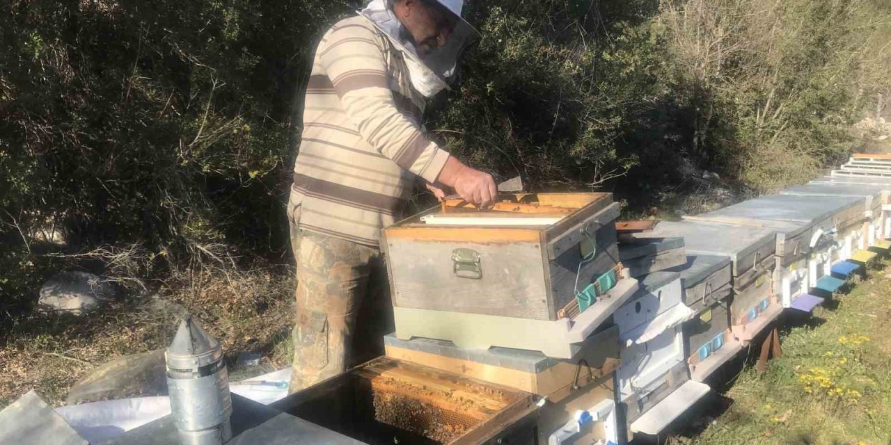 Arıcılar Yeni Sezona Hazırlanıyor