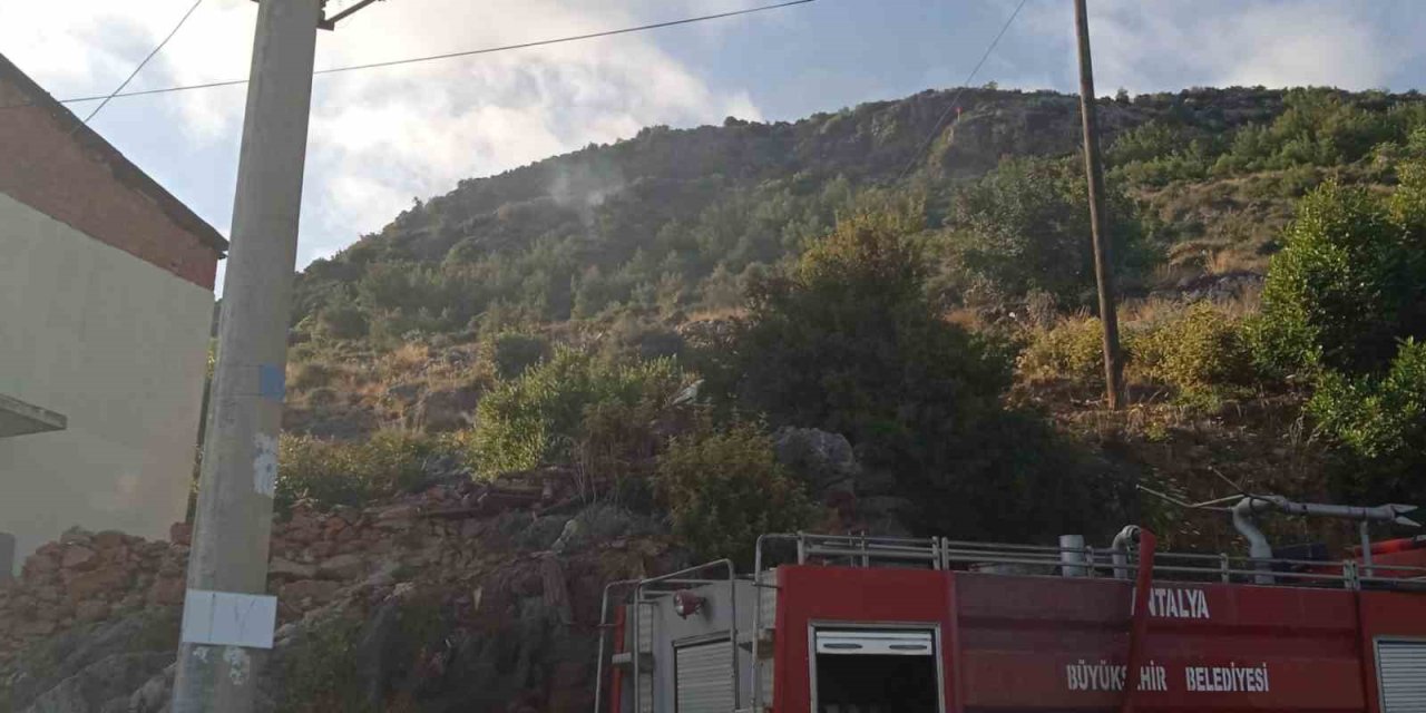 Alanya’da Orman Yangını