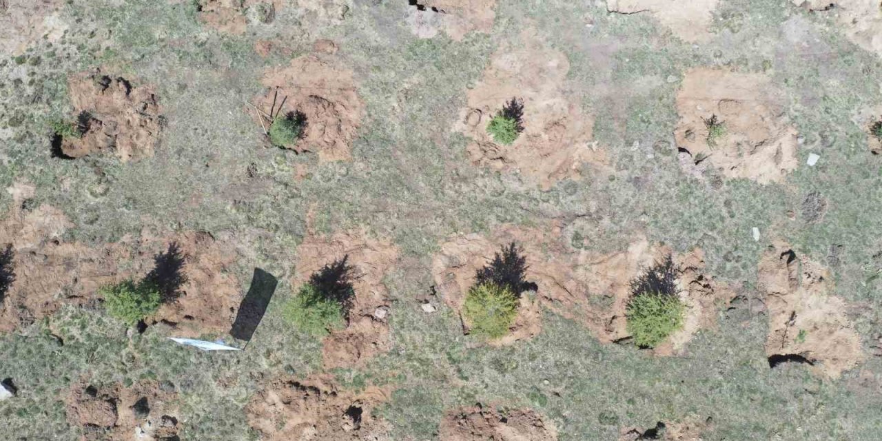 Bakanlık Ve Büyükşehrin Yeşil Projesi İle Hava Kirliliğinin Azaltılması İçin Önemli Bir Adım Atıldı