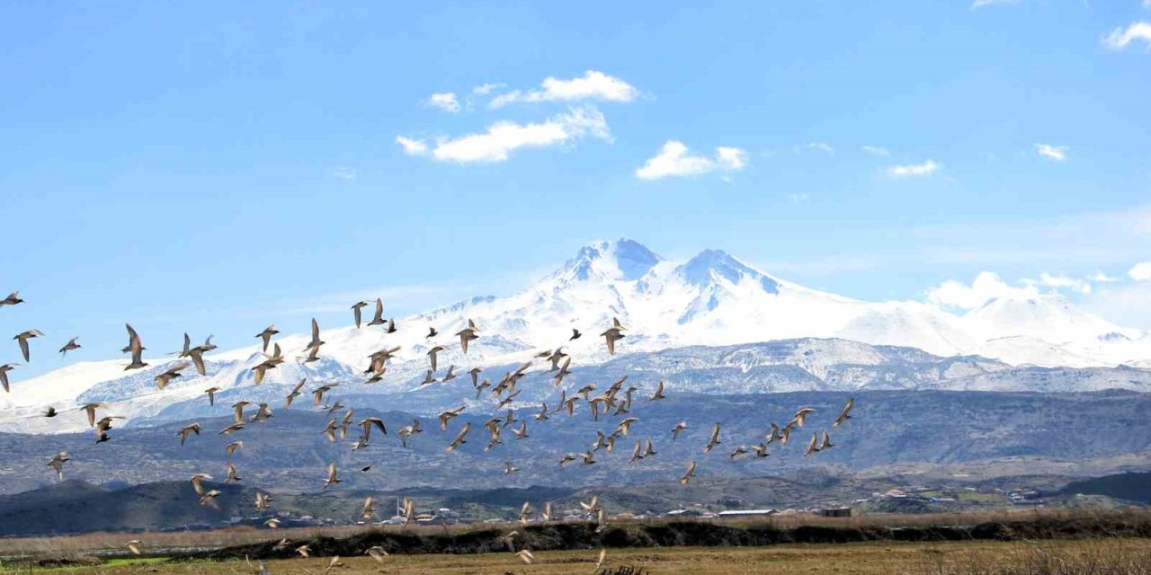 Kayseri’nin Doğal Kuş Cenneti Baharı Müjdeliyor
