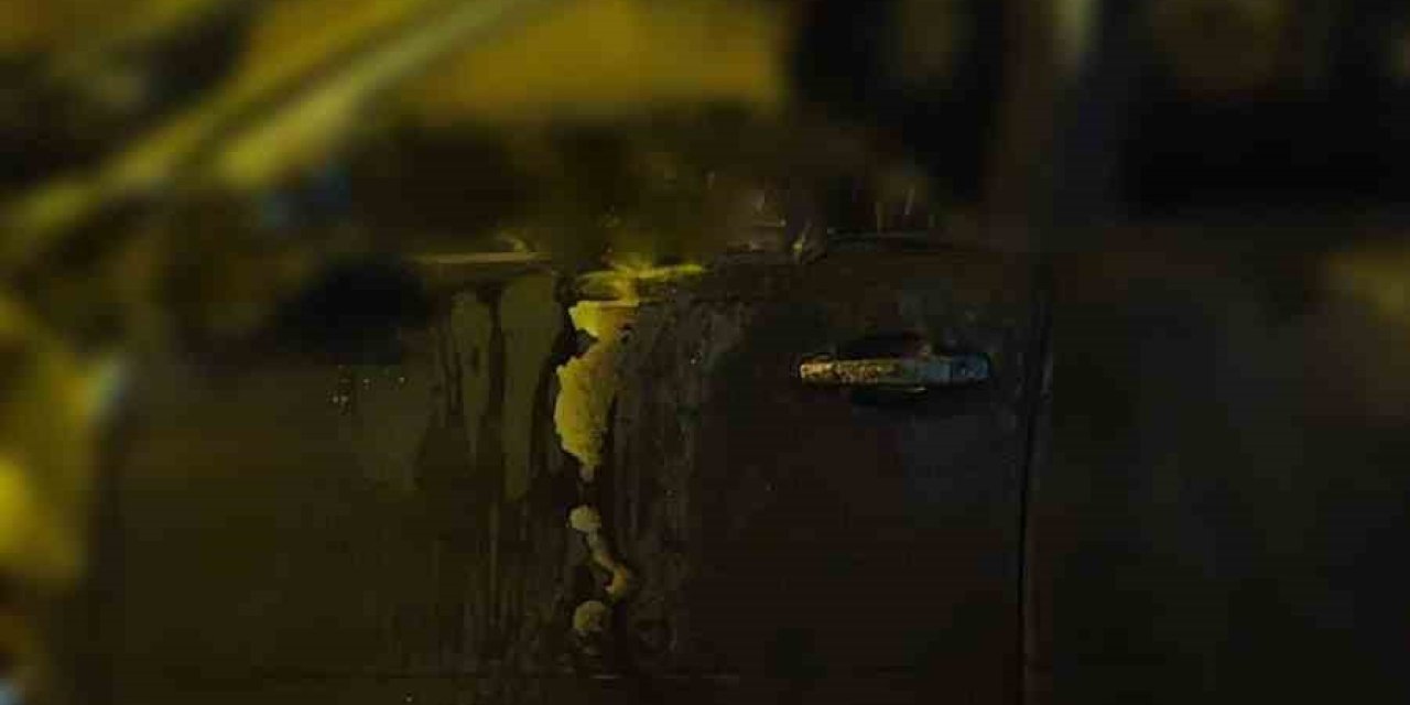 Alev Alan Otomobilin Sürücüsü Hayatını Kaybetti