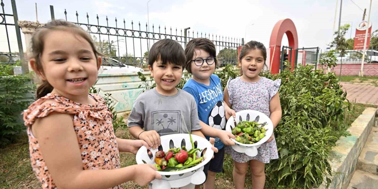 Ekolojik Yaşama Can Suyu