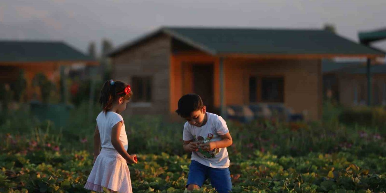 Büyükşehir’de 2 Bin 543 Adet Hobi Bahçesi İçin 22 Bini Aşkın Başvuru