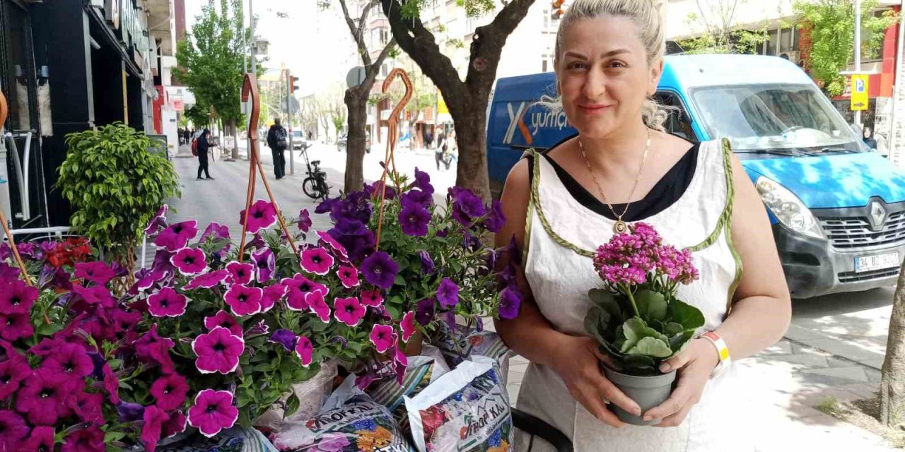 Havaların Isınmasıyla Birlikte Yazlık Çiçek Satışları Başladı