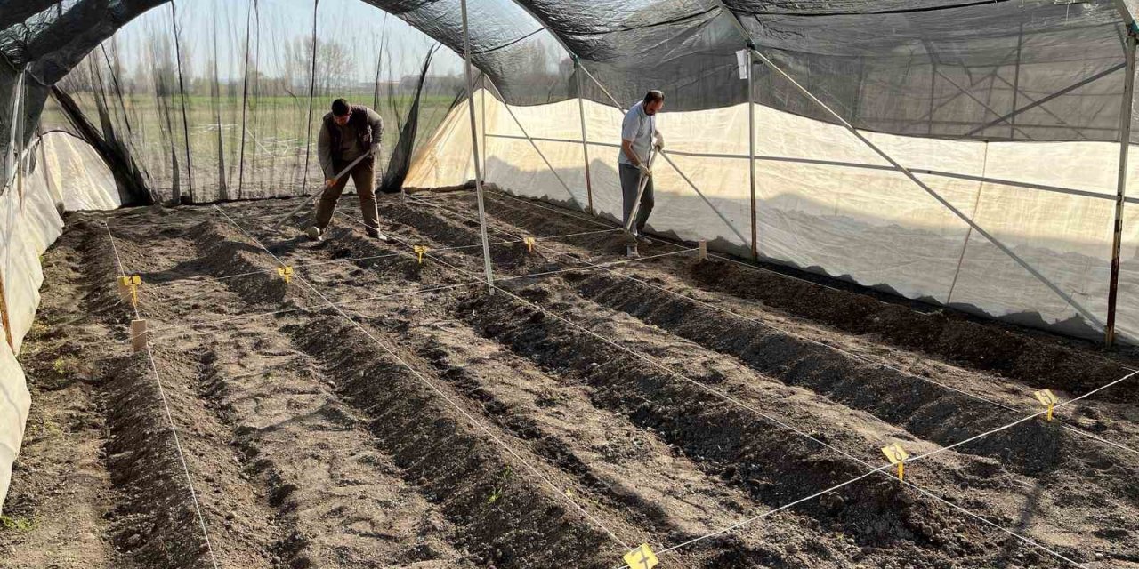 Niğde Patates Araştırma Enstitüsünde Gpt Ekimine Başlandı
