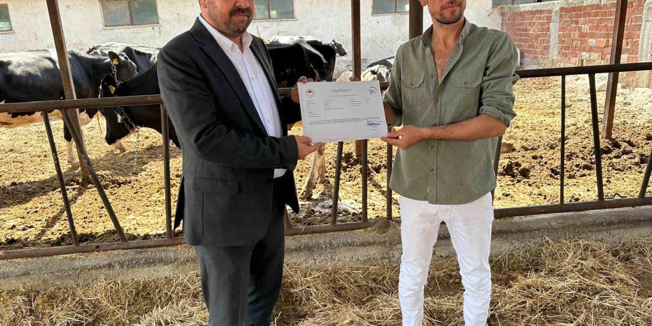 Eskişehir’de Hastalıktan Ari İşletme Sayısı Genç Yetiştiriciler İle Çoğalıyor