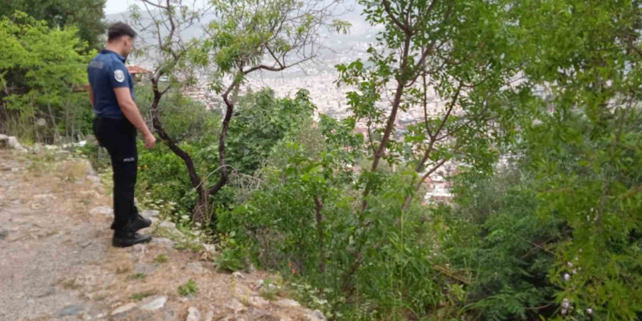 Kekik Toplarken Yüksekten Düşen Adam Yaralandı