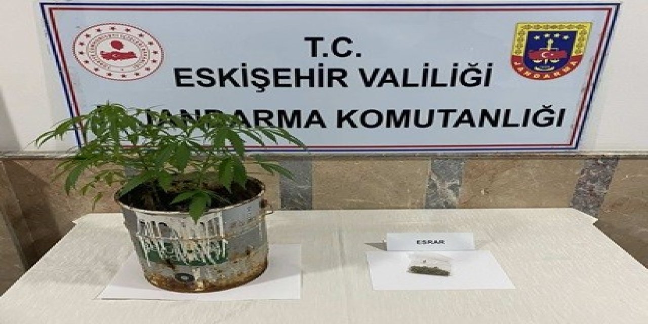 Jandarma Ekiplerinin 9 Farklı Uyuşturucu Operasyonunda 20 Şüpheli Yakalandı