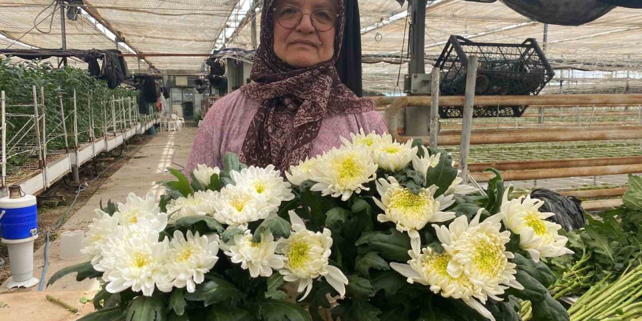 Çiçek Üreticileri Anneler Günü’ne Hazırlanıyor