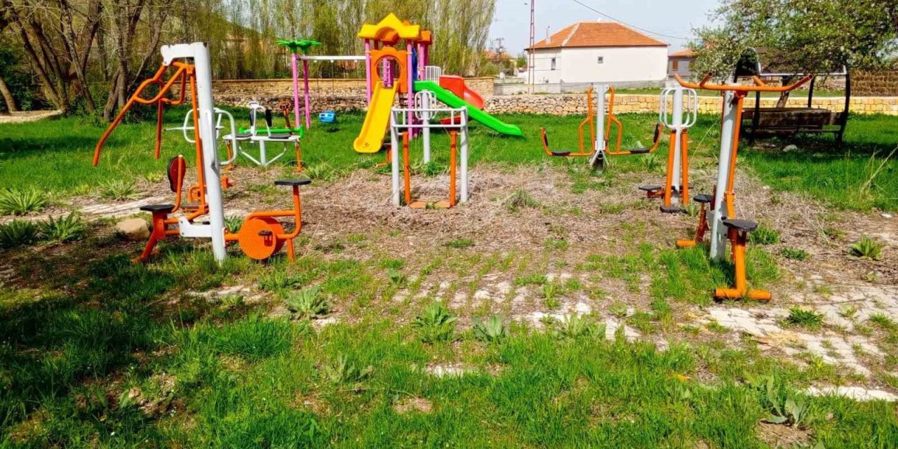 Pınarbaşı’nda Başıboş Köpekler Toplanacak