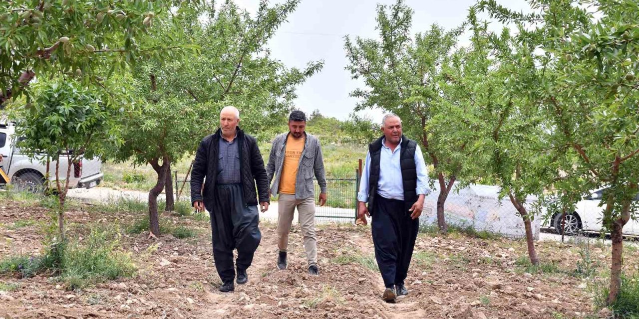 Mersin’de ’organik Tarım’ Projesi İle Ürünlerin Verimi Artıyor