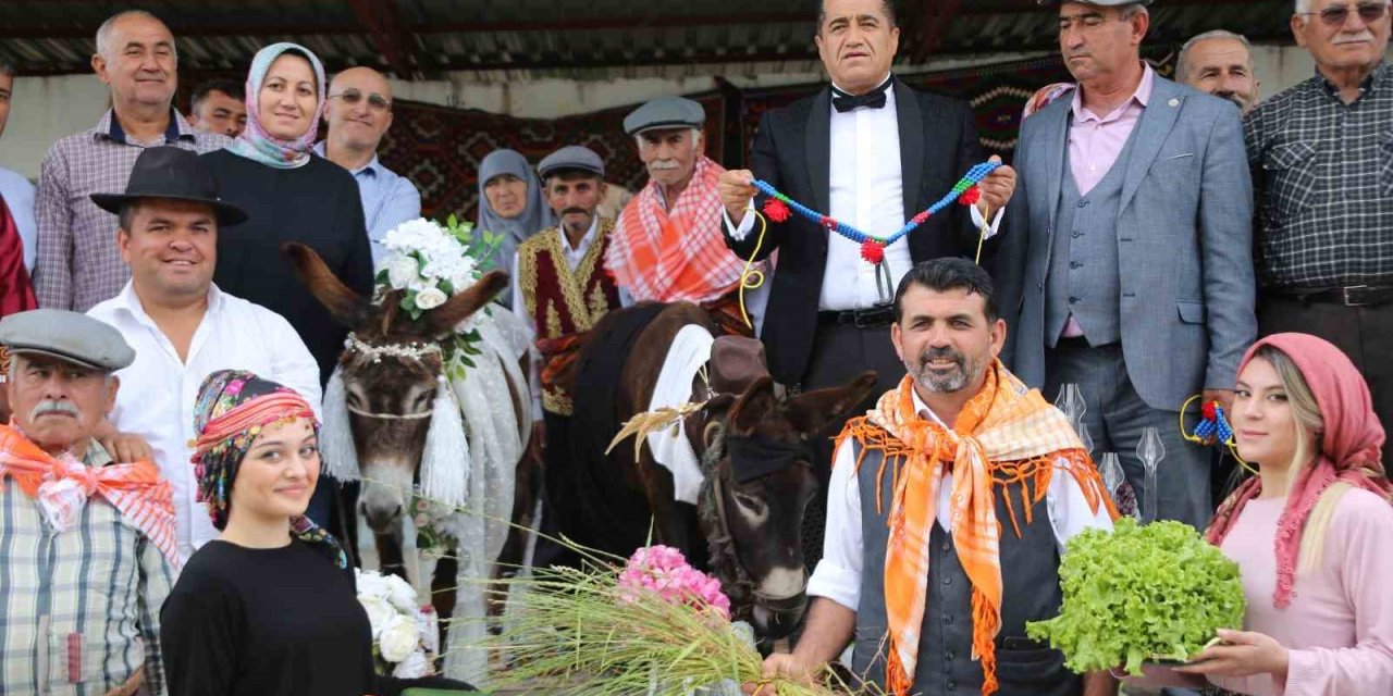 Nesli Tükenmesin Diye Eşeklere Sembolik Düğün