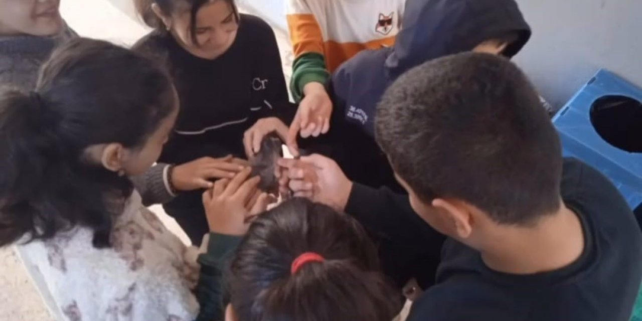 Özel Öğrencilerden Dikkat Çeken Etkinlik