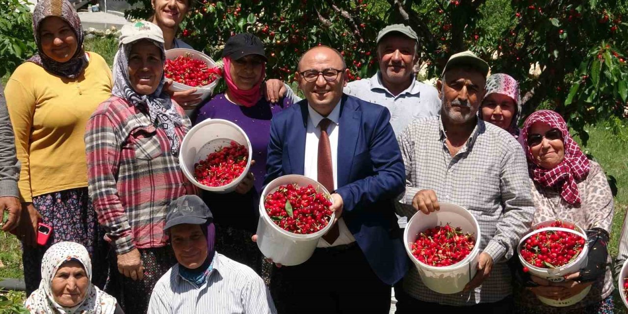 Mersin’de Turfanda Kiraz Hasadı Başladı