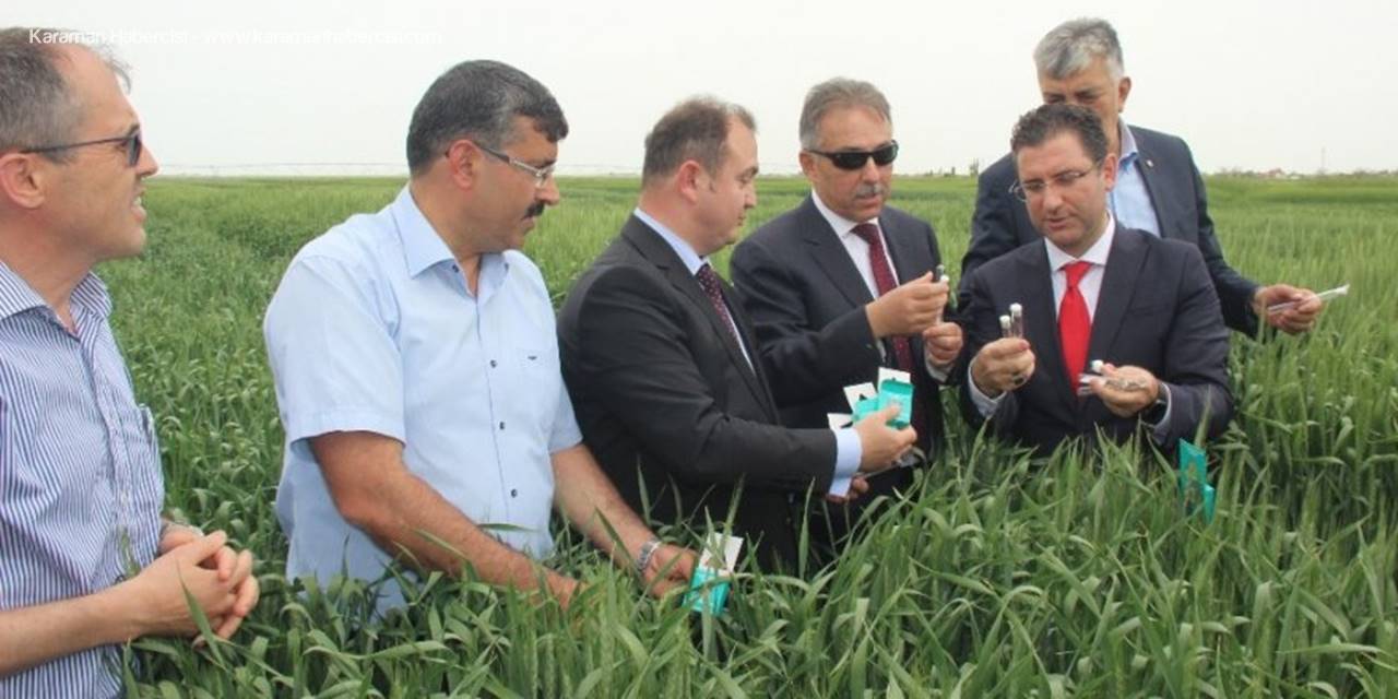 Konya’da Doğaya Faydalı 850 Bin Böcek Bırakıldı