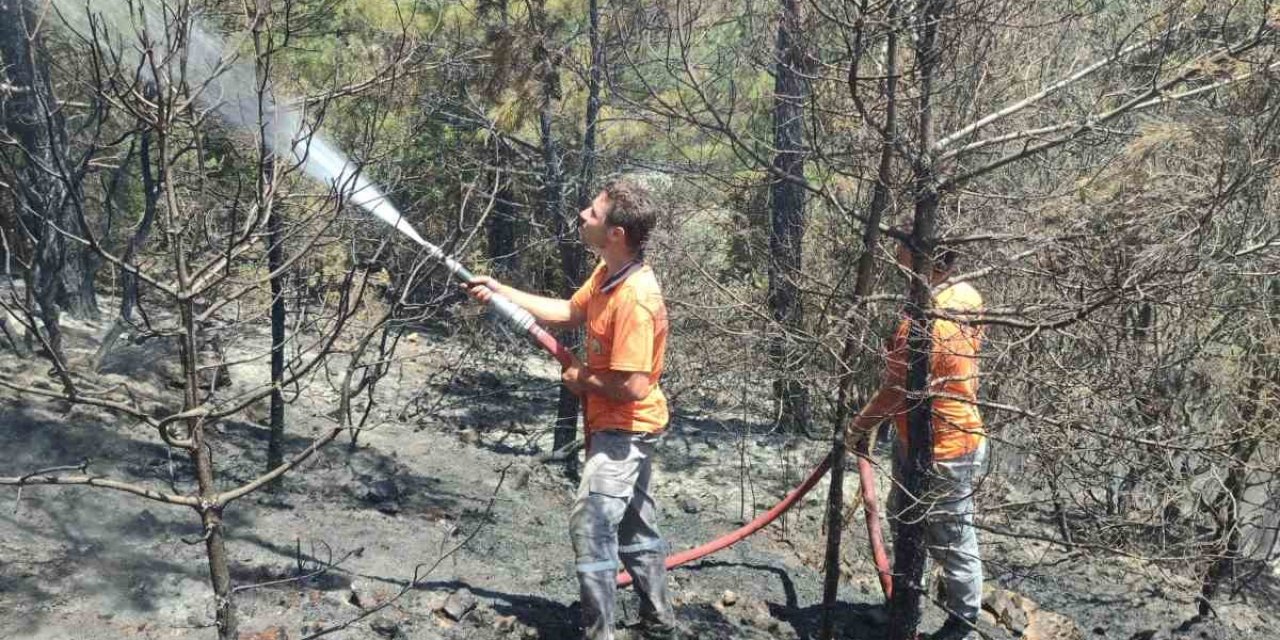 Gazipaşa’da Çıkan Orman Yangınında 1 Dönüm Alan Zarar Gördü